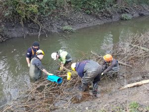 Beverley Brook River Restoration