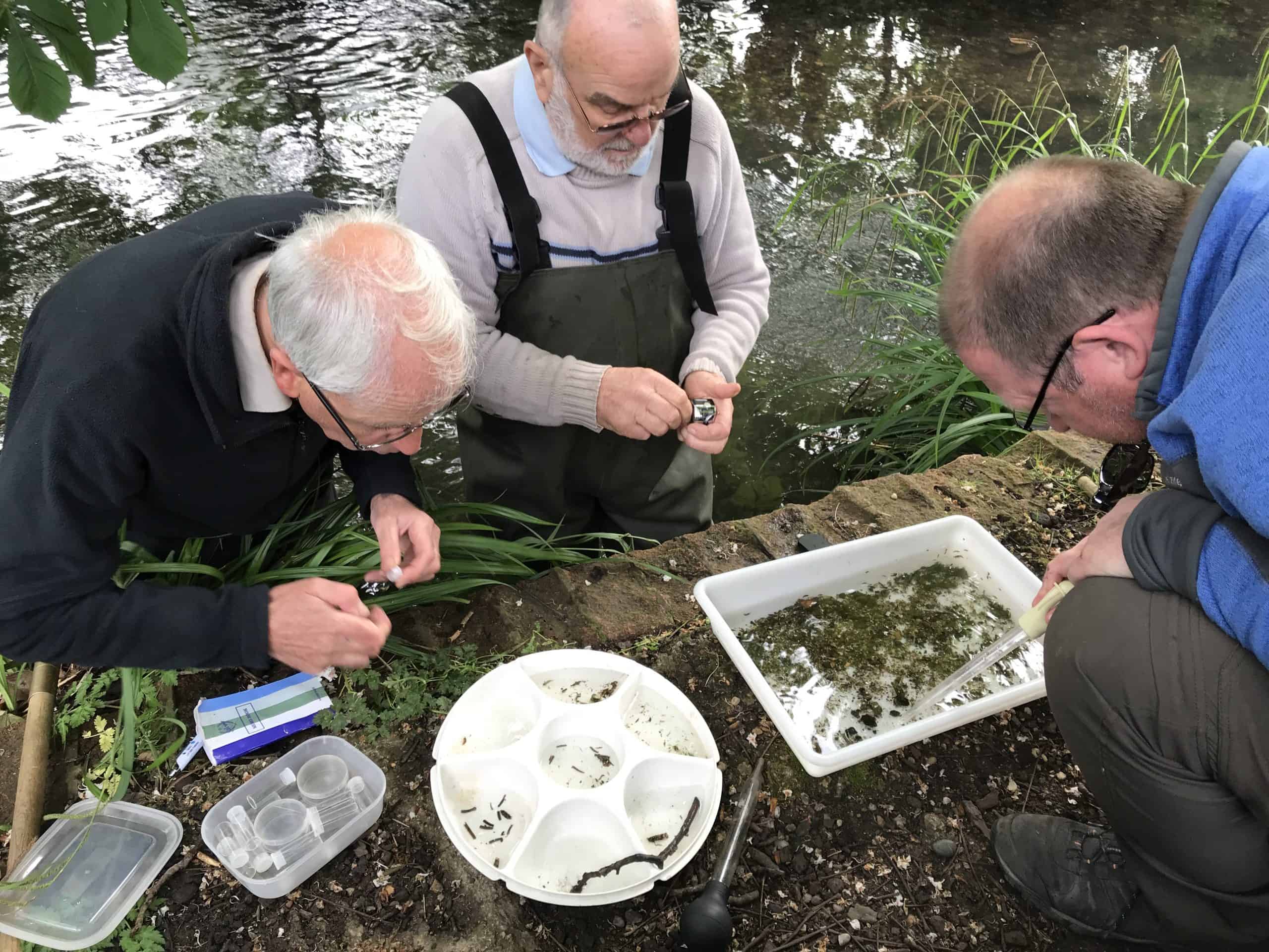 Riverfly volunteers