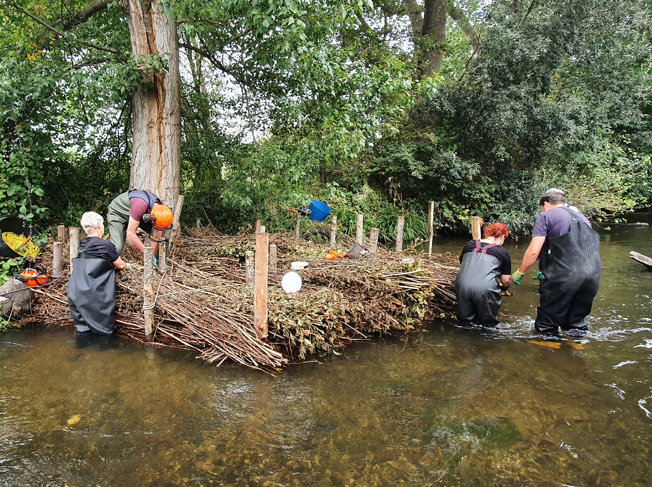 Volunteers plant up berms at Morden Hall Park