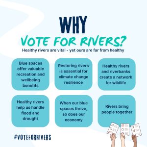 How will you #VoteforRivers?