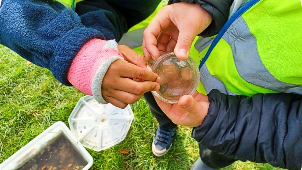 Two children holding a plastic container and lid.