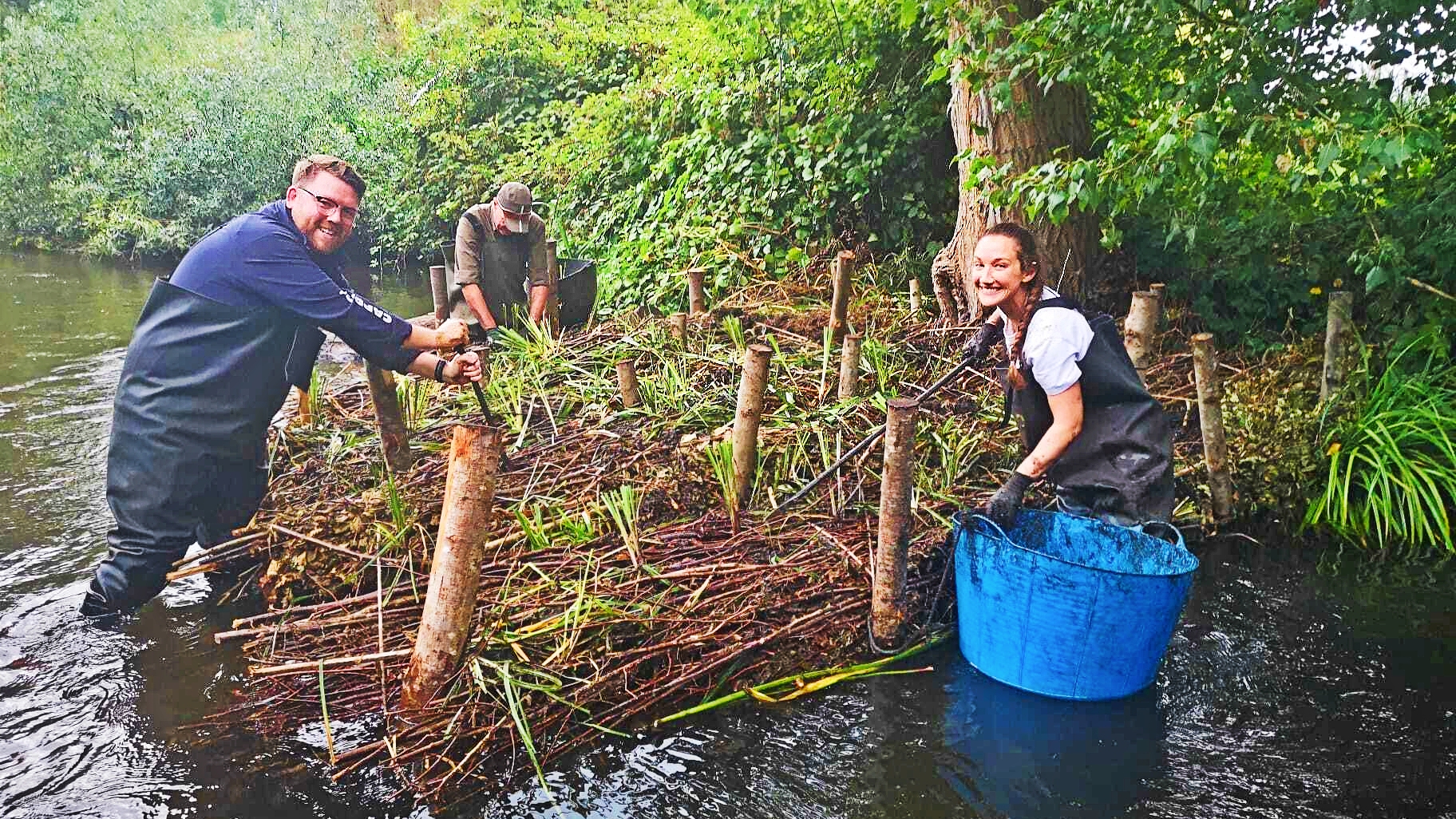 Two individuals in waders working on a dead hedge in the river.